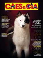 Cães e Cia